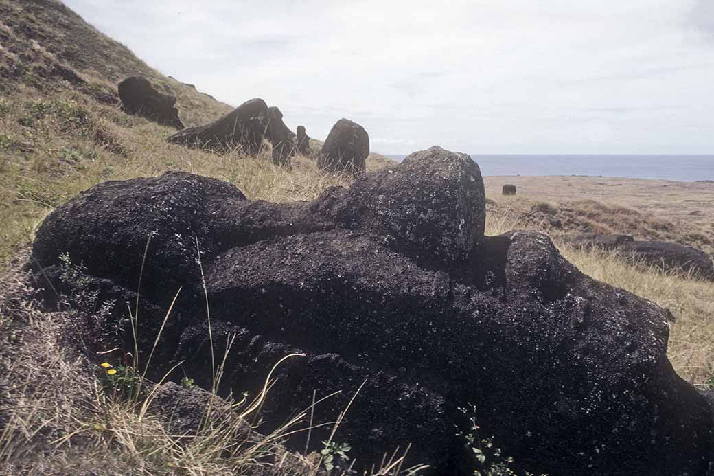 Head of a moai, Rano Raraku